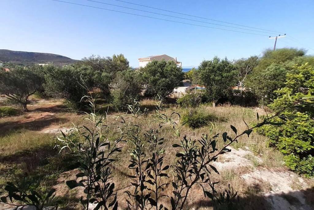 Вилла Elafonisos Detached House In Quiet Olive Grove, Starlink Internet & Smart Projector! Экстерьер фото
